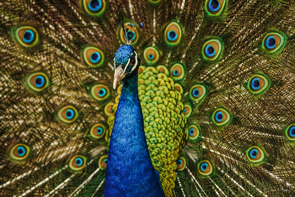 Heavey2014 05 19 Dsc03041.Jpg Photography Art | Sean R. Heavey