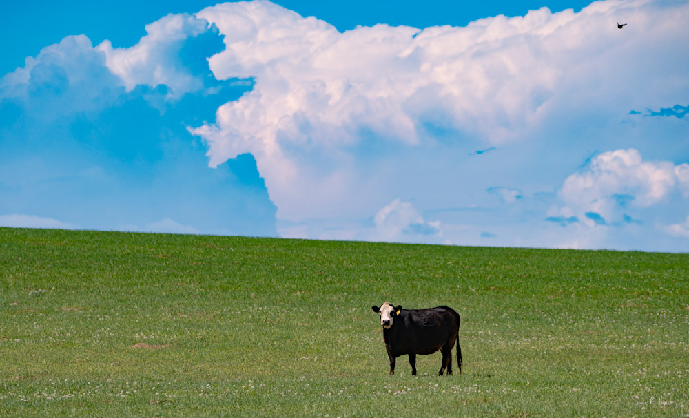 Heavey A7304870.Jpg Photography Art | Sean R. Heavey