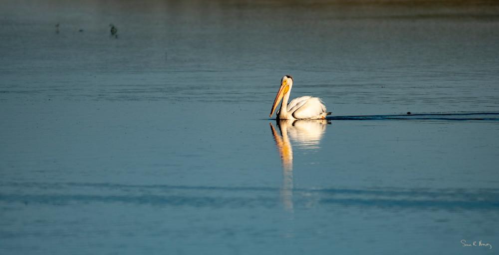 Heavey A7309254.Jpg Photography Art | Sean R. Heavey