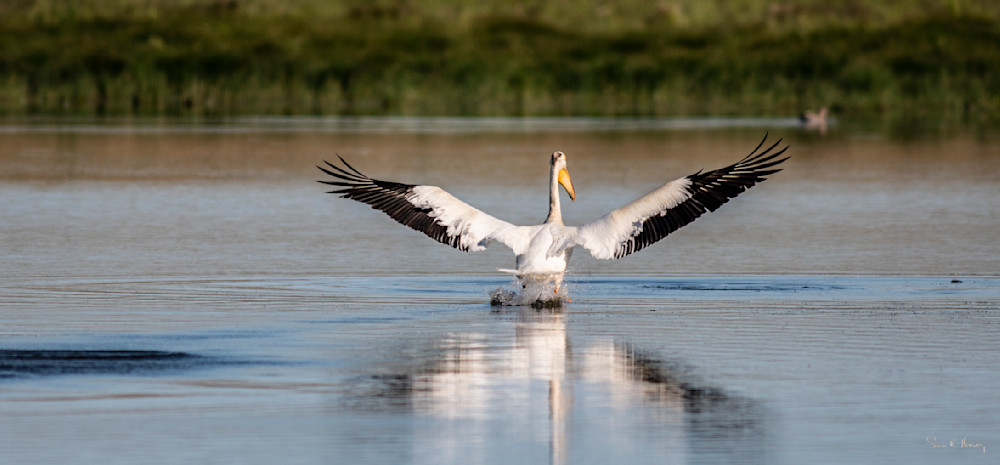 Heavey A7309258.Jpg Photography Art | Sean R. Heavey