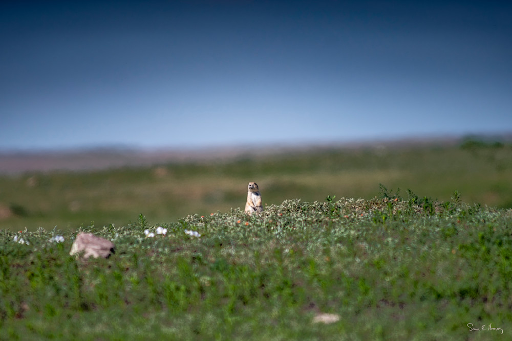 Heavey A7309298.Jpg Photography Art | Sean R. Heavey