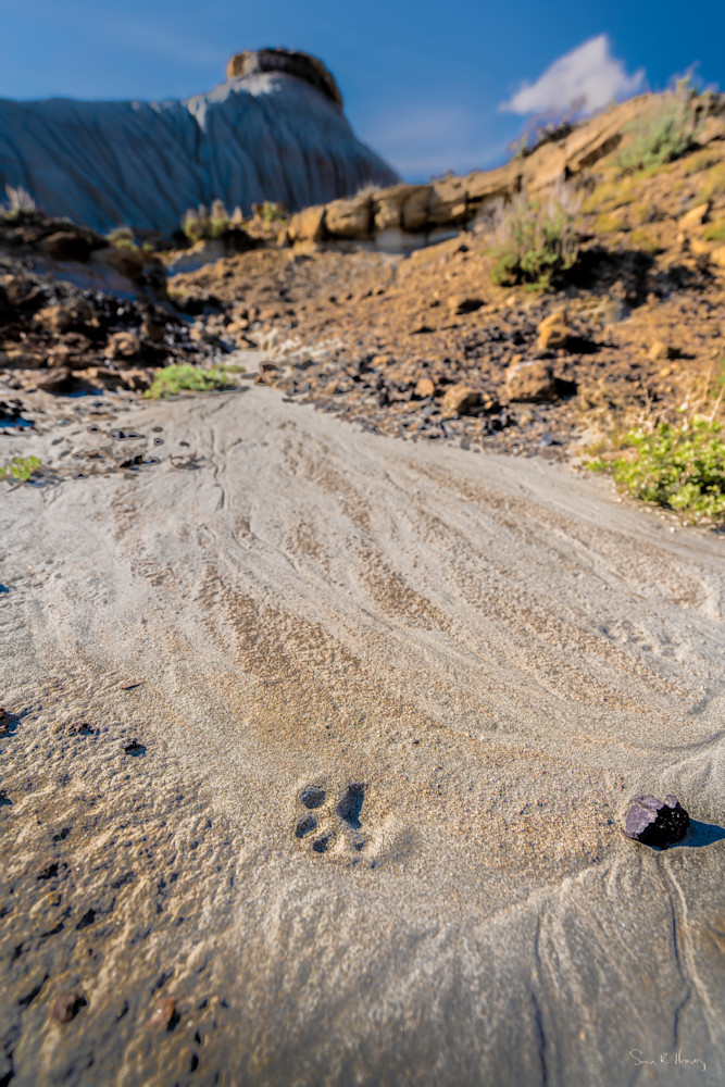 Heavey A7307230.Jpg Photography Art | Sean R. Heavey