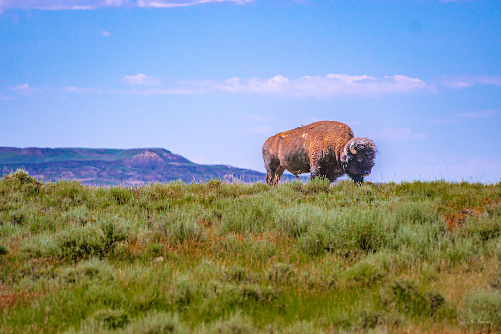 Heavey A7309335.Jpg Photography Art | Sean R. Heavey