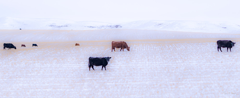 Heavey Dsc00364.Jpg Photography Art | Sean R. Heavey