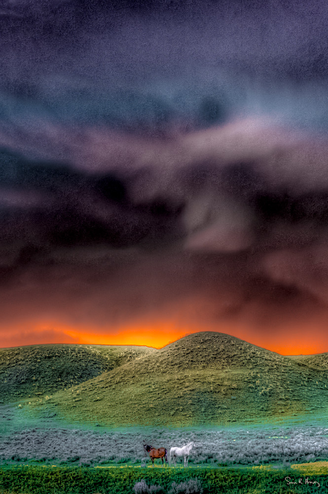 Heavey Dsc 3949.Jpg Photography Art | Sean R. Heavey