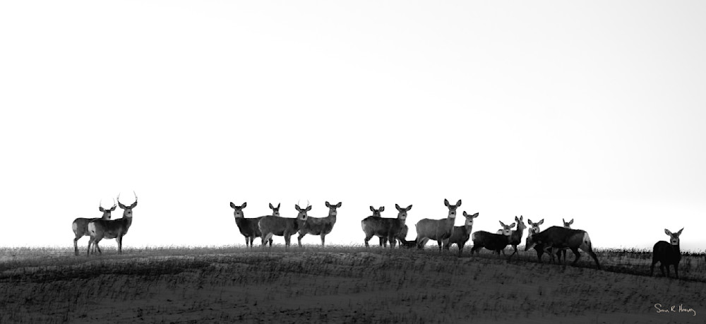 Heavey Dsc00587.Jpg Photography Art | Sean R. Heavey