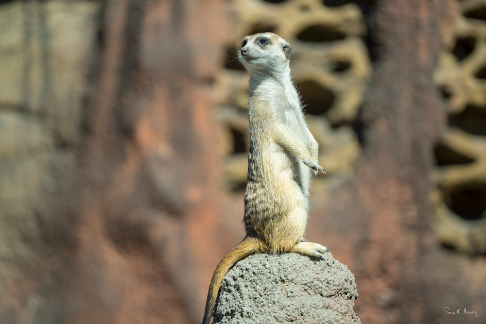 Heavey Dsc00746.Jpg Photography Art | Sean R. Heavey