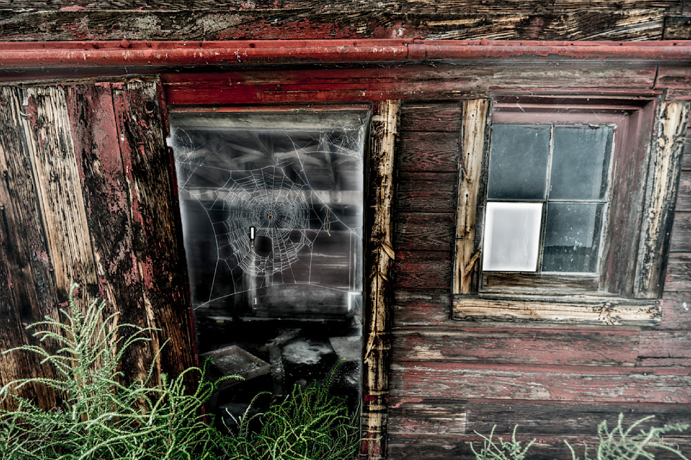 Heavey Dsc01737.Jpg Photography Art | Sean R. Heavey