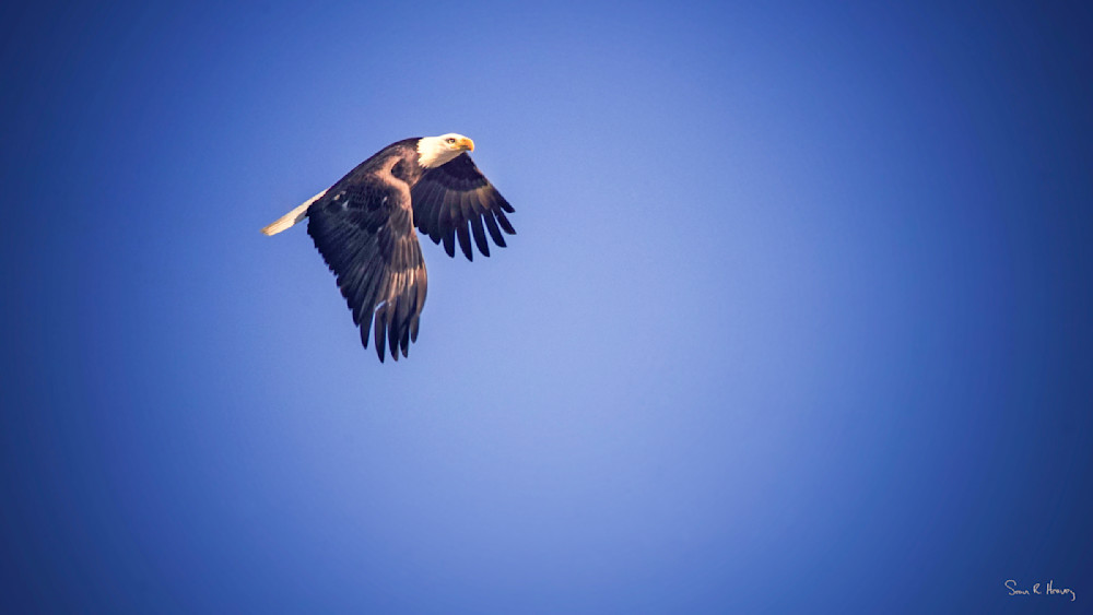 Heavey Dsc04457.Jpg Photography Art | Sean R. Heavey