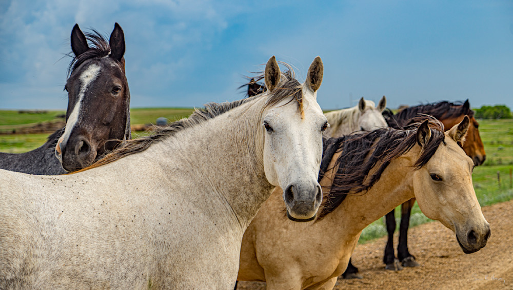 Heavey Dsc07007.Jpg Photography Art | Sean R. Heavey