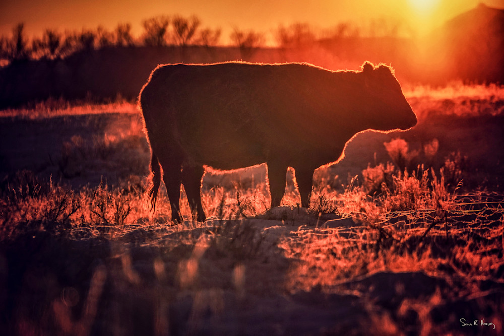 Heavey Enlight1 1.Jpg Photography Art | Sean R. Heavey