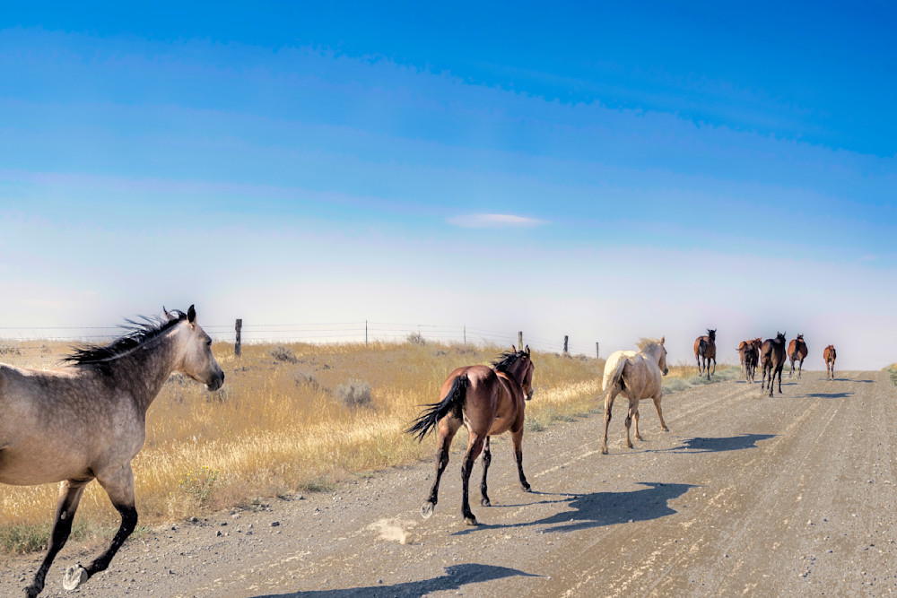 Heavey Dsc07843a.Jpg Photography Art | Sean R. Heavey