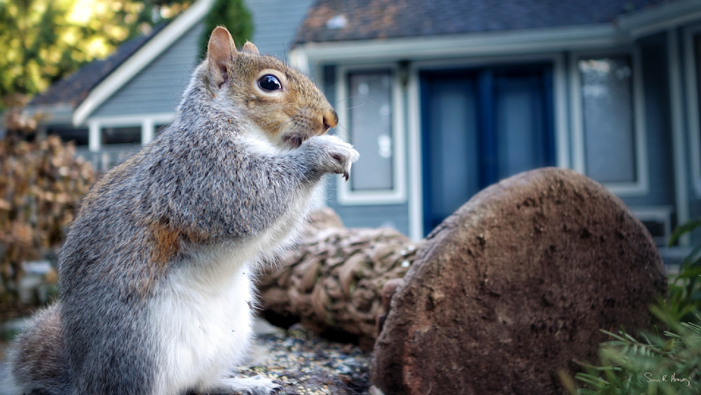 Heavey Img 0287.Jpg Photography Art | Sean R. Heavey