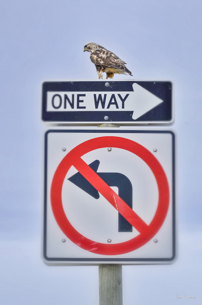 Heavey Img 0614.Jpg Photography Art | Sean R. Heavey