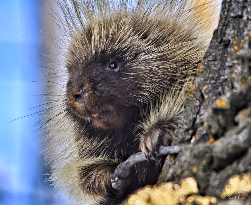 Heavey Img 0684.Jpg Photography Art | Sean R. Heavey