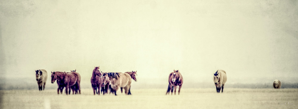 Heavey Img 1119.Jpg Photography Art | Sean R. Heavey