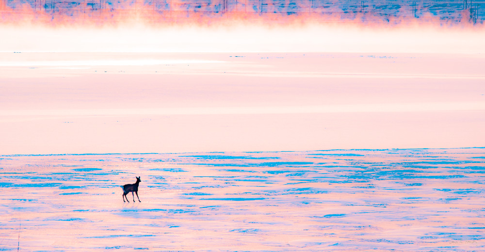 Heavey Img 1739.Jpg Photography Art | Sean R. Heavey