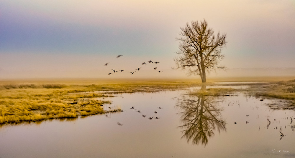 Heavey Img 1740.Jpg Photography Art | Sean R. Heavey