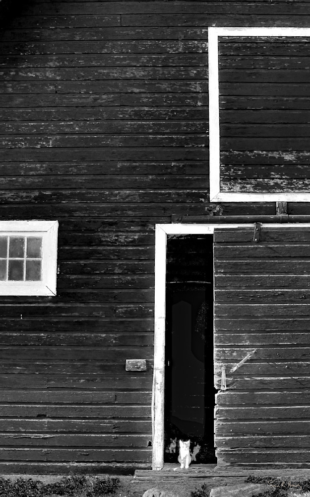 Heavey Img 1958.Jpg Photography Art | Sean R. Heavey