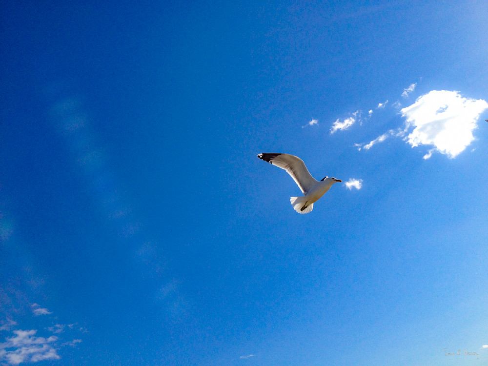 Heavey Img 2021.Jpg Photography Art | Sean R. Heavey