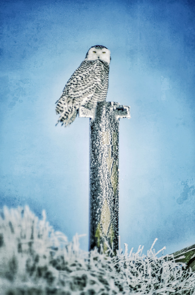 Heavey Img 2696.Jpg Photography Art | Sean R. Heavey