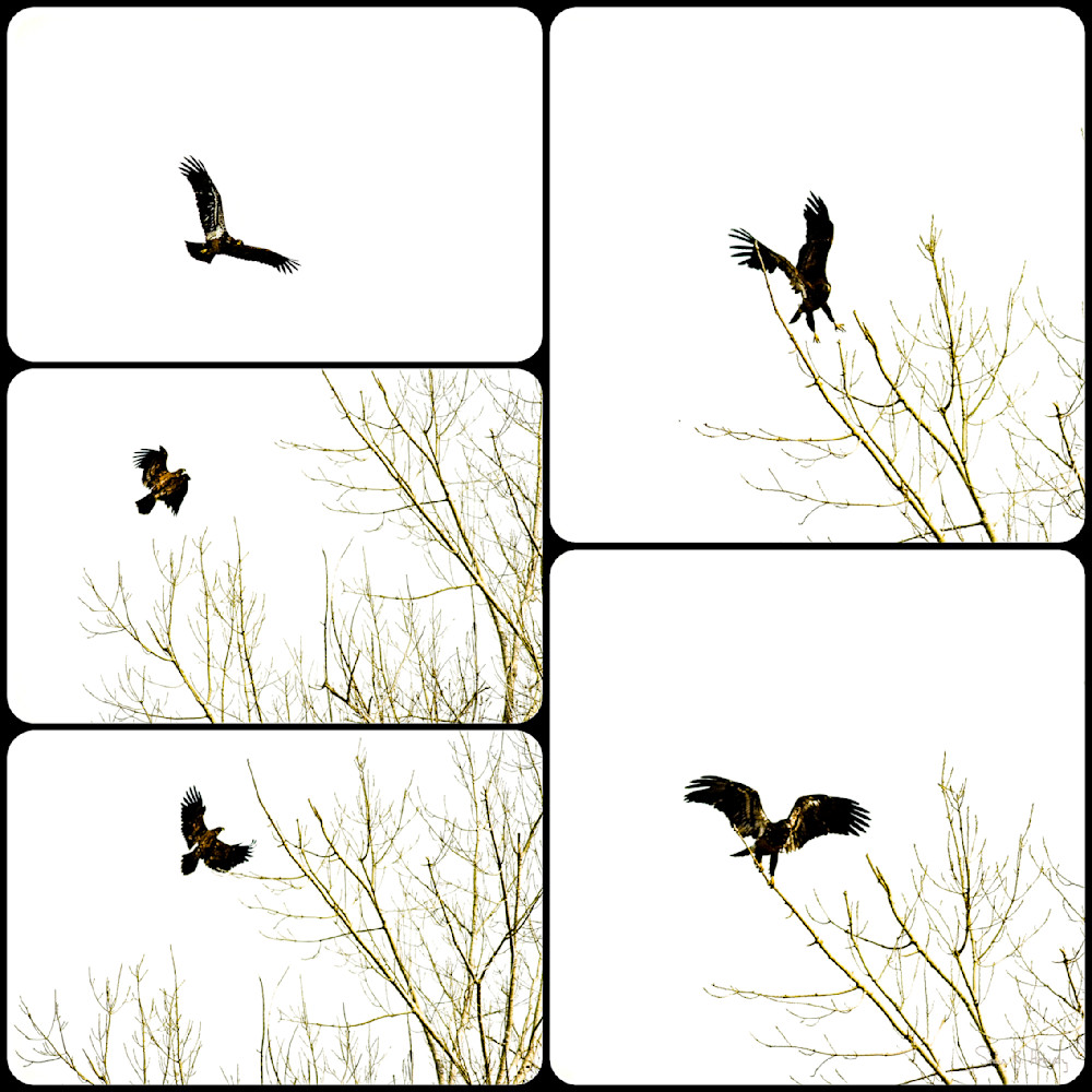 Heavey Img 2841.Jpg Photography Art | Sean R. Heavey