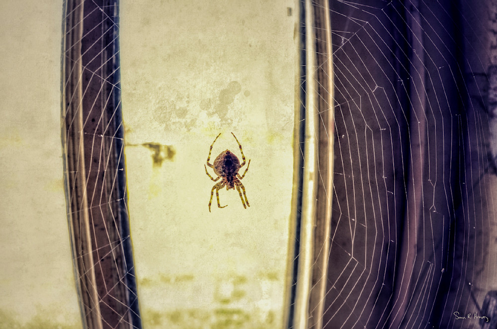 Heavey Img 3400.Jpg Photography Art | Sean R. Heavey