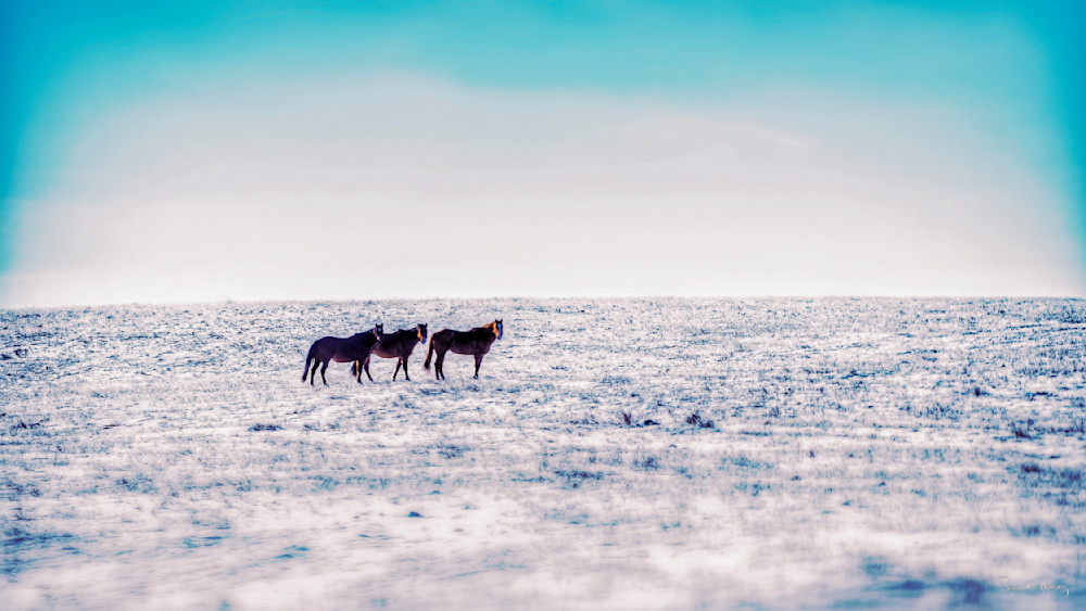 Heavey Img 3572.Jpg Photography Art | Sean R. Heavey