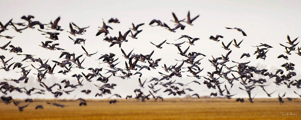 Heavey Img 3690.Jpg Photography Art | Sean R. Heavey