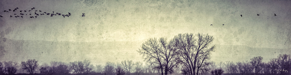 Heavey Img 3714.Jpg Photography Art | Sean R. Heavey