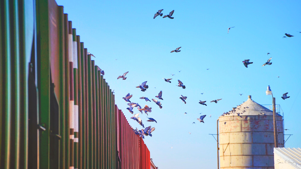 Heavey Img 3790.Jpg Photography Art | Sean R. Heavey