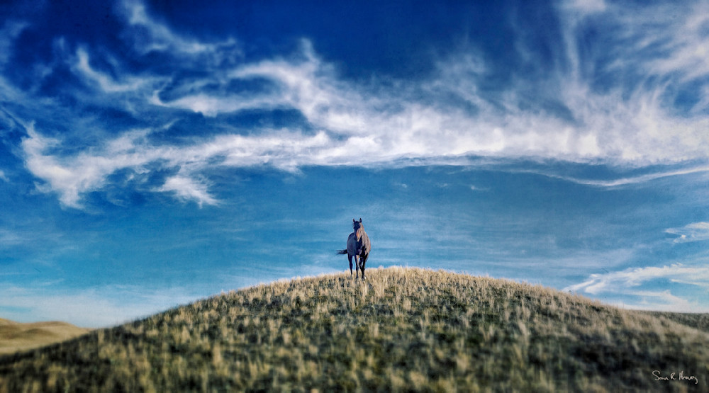 Heavey Img 3938.Jpg Photography Art | Sean R. Heavey