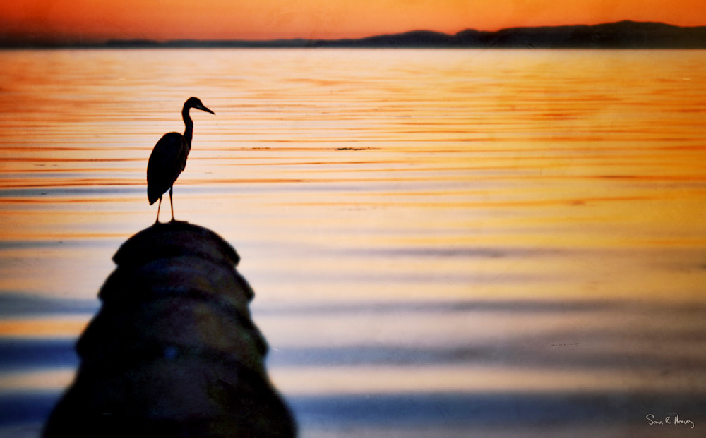 Heavey Img 3968.Jpg Photography Art | Sean R. Heavey