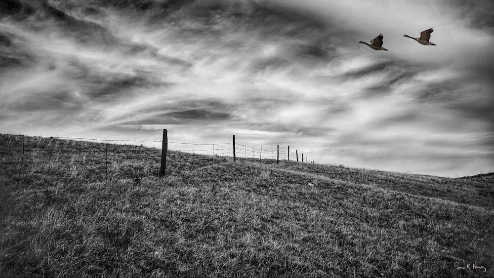 Heavey Img 3998a.Jpg Photography Art | Sean R. Heavey