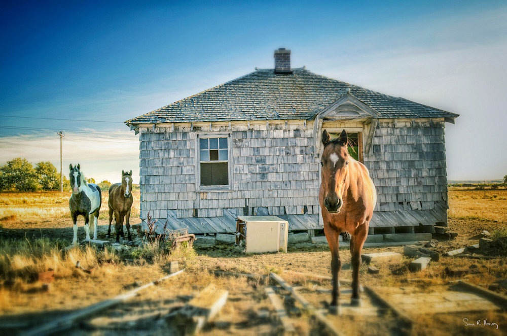 Heavey Img 4141a.Jpg Photography Art | Sean R. Heavey