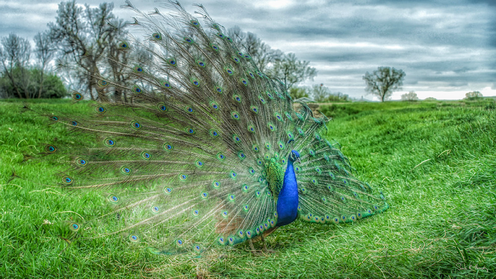 Heavey Img 4461.Jpg Photography Art | Sean R. Heavey