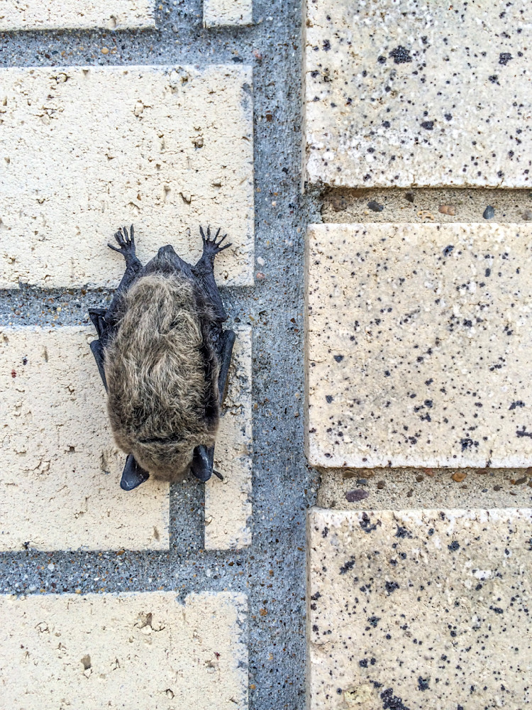 Heavey Img 6070.Jpg Photography Art | Sean R. Heavey