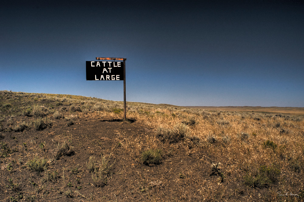 Heavey2008 08 06  Dsc 2744.Jpg Photography Art | Sean R. Heavey