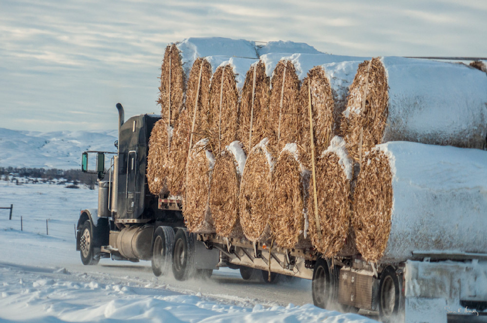 Heavey2011 01 21 Dsc2523.Jpg Photography Art | Sean R. Heavey