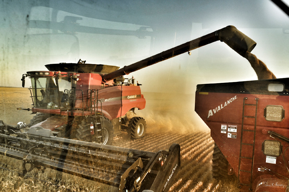 Heavey2011 08 23 Img 0990.Jpg Photography Art | Sean R. Heavey