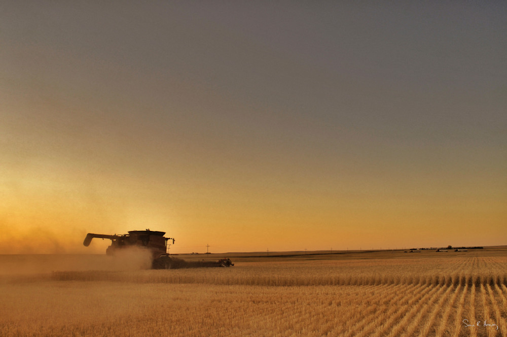 Heavey2011 08 23 Img 0993.Jpg Photography Art | Sean R. Heavey