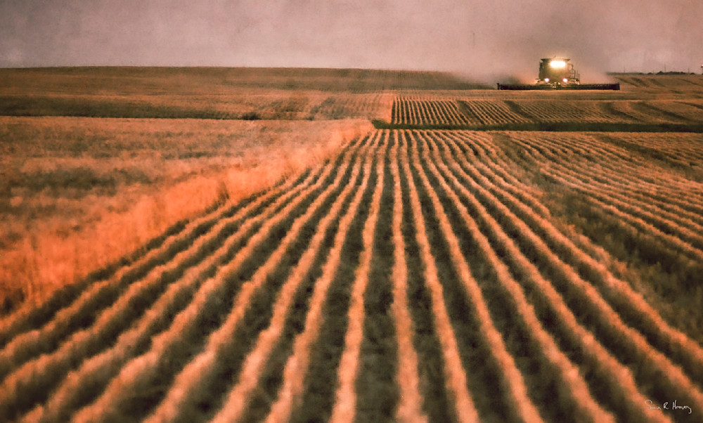 Heavey2011 08 23 Img 1002.Jpg Photography Art | Sean R. Heavey