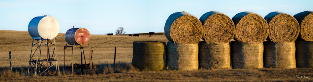 Heavey2012 02 02 Srh0939 Pano 2.Jpg Photography Art | Sean R. Heavey