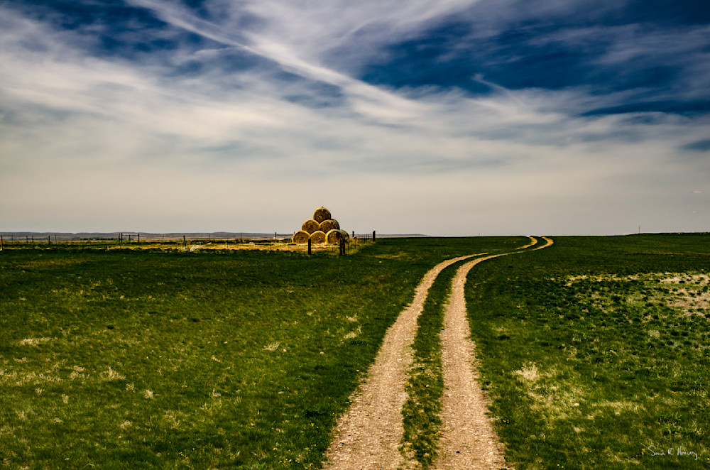 Heavey2013 05 15 Srh4593.Jpg Photography Art | Sean R. Heavey