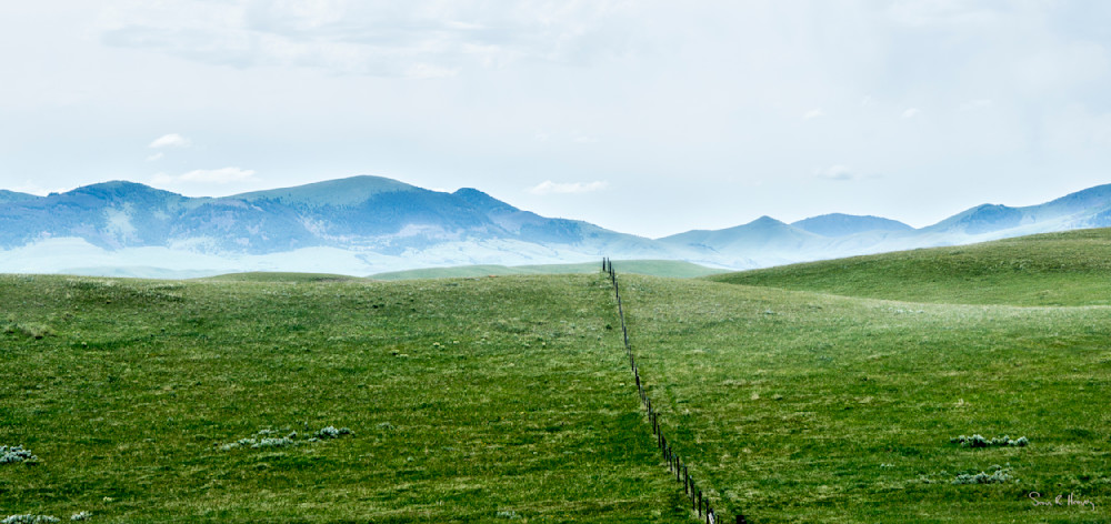 Heavey2013 06 19 Dsc0997.Jpg Photography Art | Sean R. Heavey