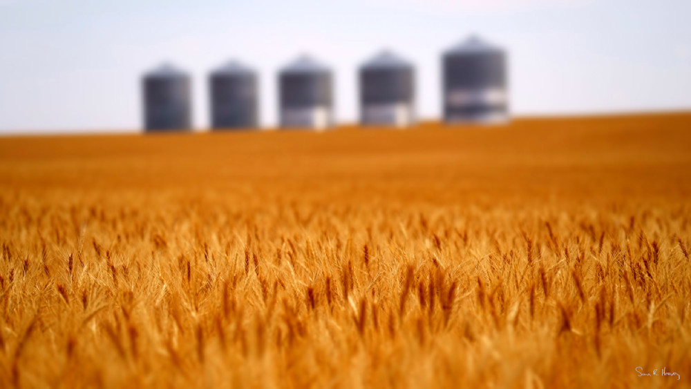 Heavey2014 08 02 Dsc05660.Jpg Photography Art | Sean R. Heavey