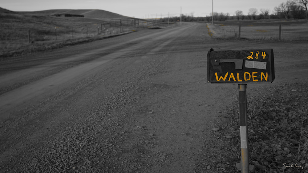 Heavey2015 03 29 Dsc03461.Jpg Photography Art | Sean R. Heavey