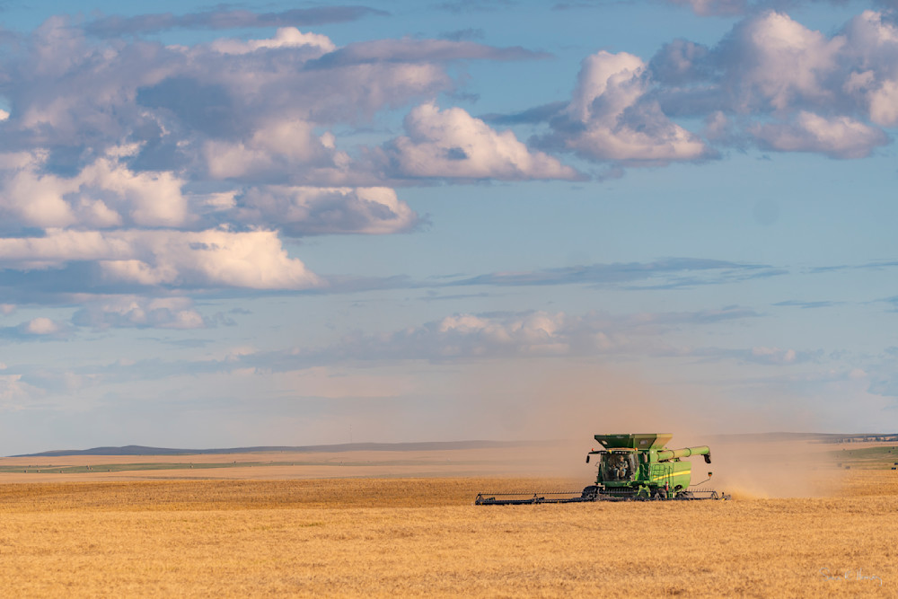 Heavey A7303989.Jpg Photography Art | Sean R. Heavey