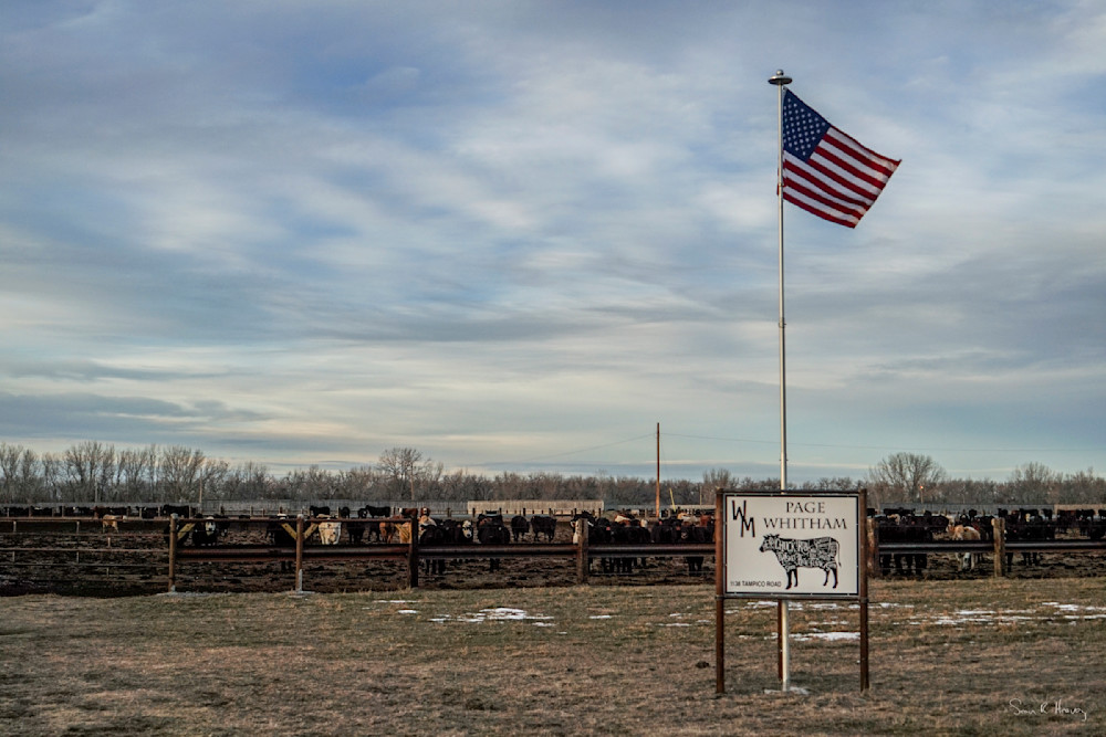 Heavey Dsc04248.Jpg Photography Art | Sean R. Heavey