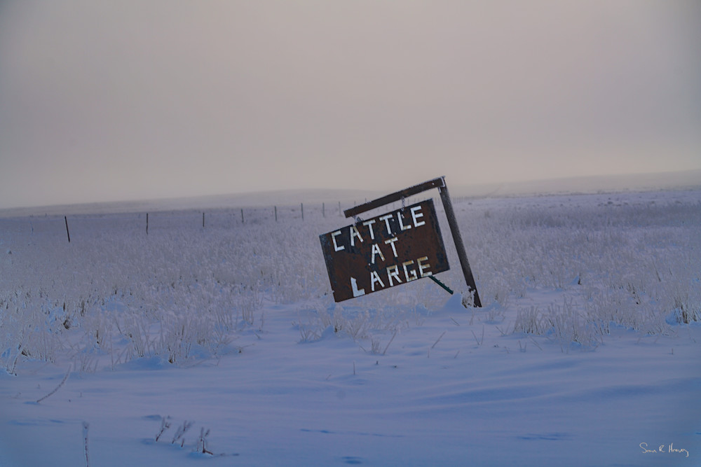 Heavey Dsc04407.Jpg Photography Art | Sean R. Heavey